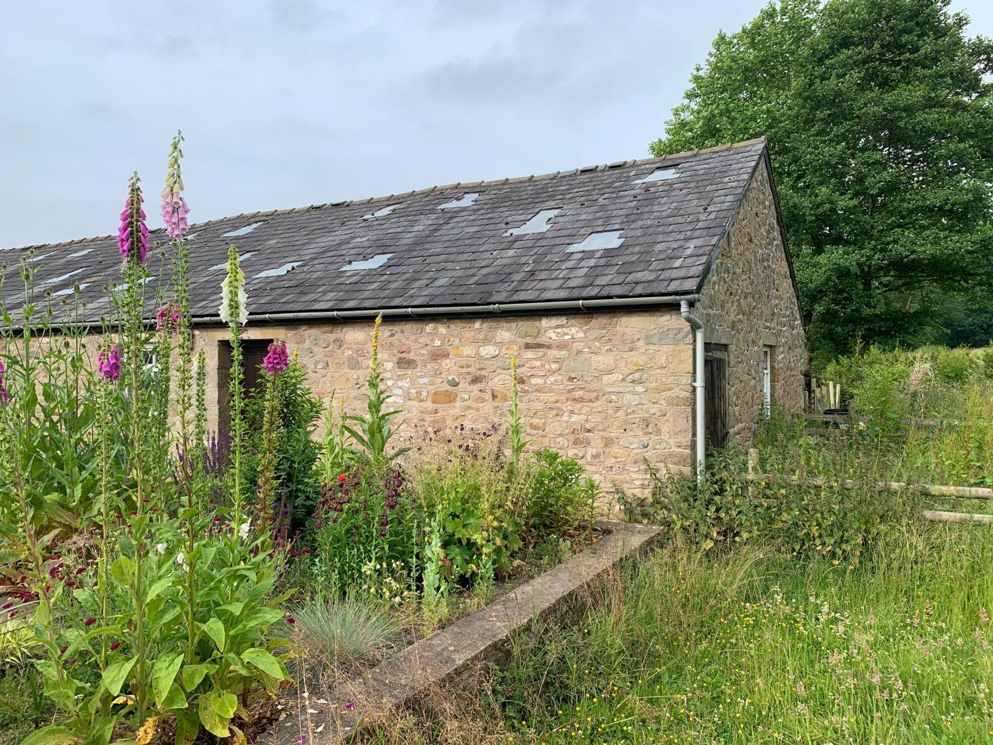 Farm stay Lara's House *